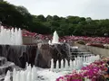 西山公園の写真_133128