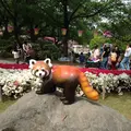 西山公園の写真_133129