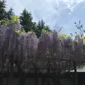 笠間稲荷神社の写真_133188