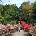 佐白山観世音寺の写真_133200