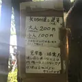 矢切の渡しの写真_133295