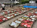 上有田駅の写真_133406