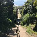 洲崎神社の写真_133504