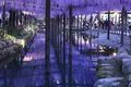 天王川公園の写真_133537