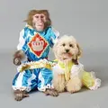 阿蘇カドリー・ドミニオンの写真_133567