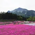 羊山公園の写真_133637