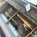 【閉業】キッピーズ ココクリームの写真_133644
