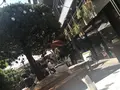 ブレントウッドテラス （BRENTWOOD TERRACE）の写真_133666