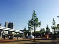 豊洲公園の写真_133704