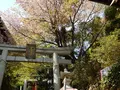 竹生島の写真_133876