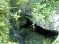 清水寺の写真_133967