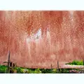 あしかがフラワーパークの写真_134014