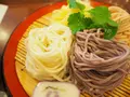 あしかがフラワーパークの写真_134016