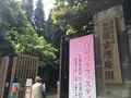 旧古河庭園の写真_134075