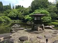 旧古河庭園の写真_134098