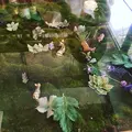 シュードゥリュバン(Chou de ruban)の写真_134108