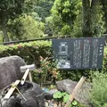 道の駅 掛合の里の写真_134137
