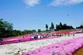 羊山公園の写真_134219