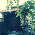 孔子廟・中国歴代博物館の写真_134285