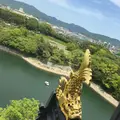 岡山城の写真_134412