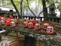 瑞巌寺の写真_134729