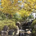 あがたの森公園の写真_134793