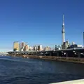 厩橋の写真_134894