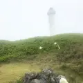東平安名崎の写真_134919