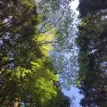 花貫渓谷の写真_135269