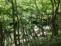 花貫渓谷の写真_135270