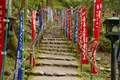 岩屋寺の写真_135328