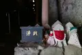 岩屋寺の写真_135330