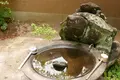 浄瑠璃寺の写真_135333