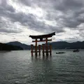 嚴島神社 大鳥居の写真_135341