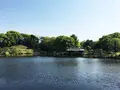 清澄庭園の写真_135500