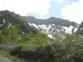 出羽三山神社の写真_135561
