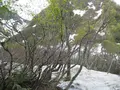 出羽三山神社の写真_135562