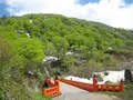 出羽三山神社の写真_135564