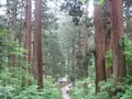 出羽三山神社の写真_135591