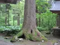 出羽三山神社の写真_135592
