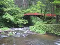 出羽三山神社の写真_135596