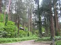 出羽三山神社の写真_135604