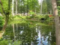 出羽三山神社の写真_135621