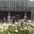 金沢駅の写真_135709