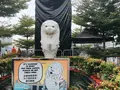 Merlionの写真_135745