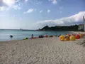 ブセナ海中公園の写真_135768