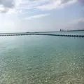 ブセナ海中公園の写真_135769