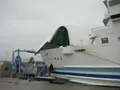 壱岐島の写真_135841