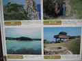 壱岐島の写真_135849