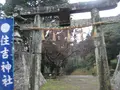 壱岐島の写真_135871